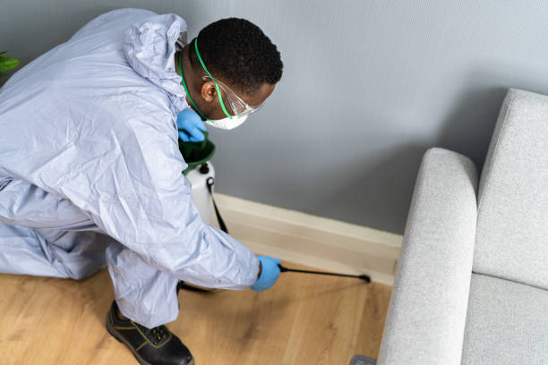 Best Termite Inspection and Treatment  in Mendon, IL